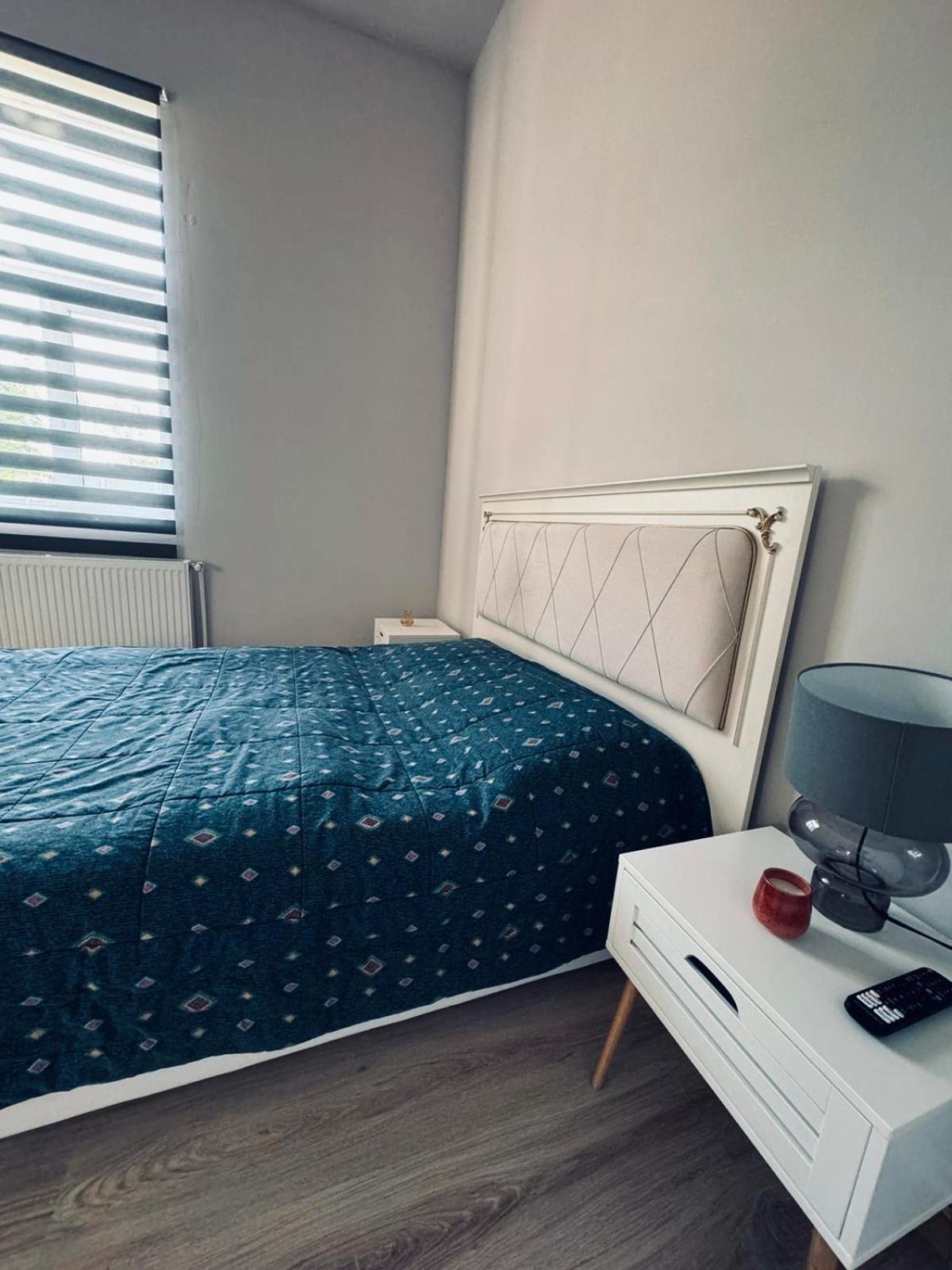 לינה וארוחת בוקר טימישוארה Serbian House מראה חיצוני תמונה