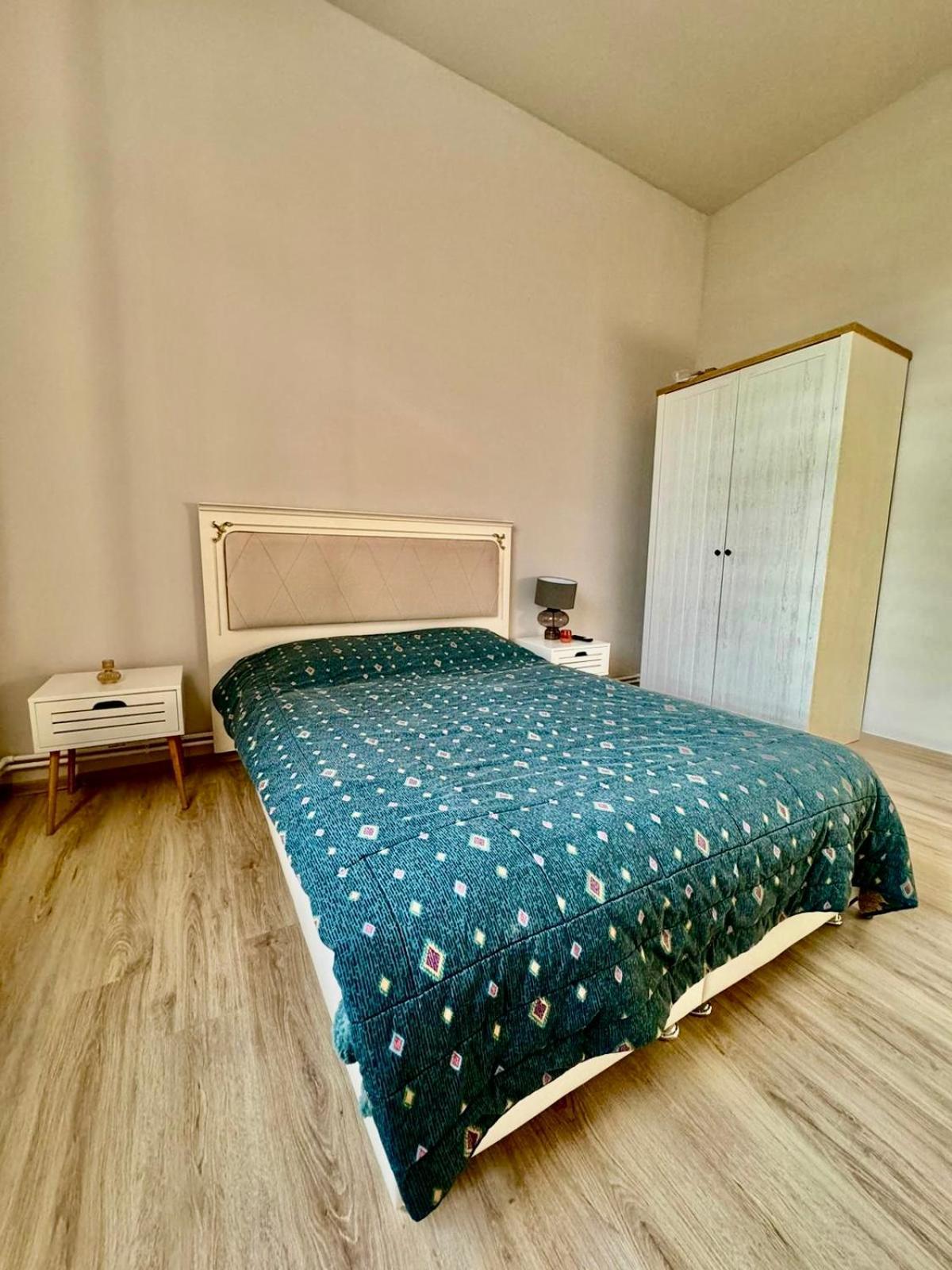 לינה וארוחת בוקר טימישוארה Serbian House מראה חיצוני תמונה