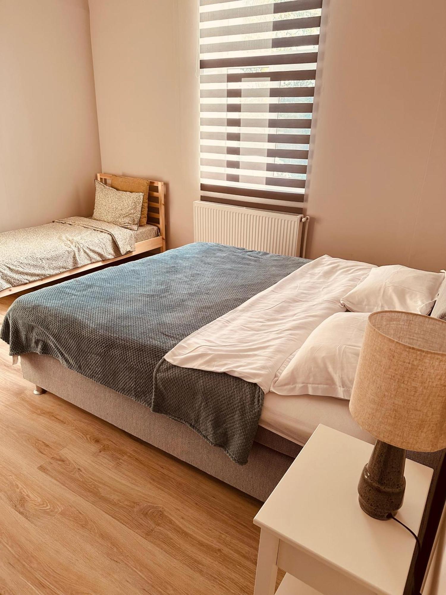 לינה וארוחת בוקר טימישוארה Serbian House מראה חיצוני תמונה