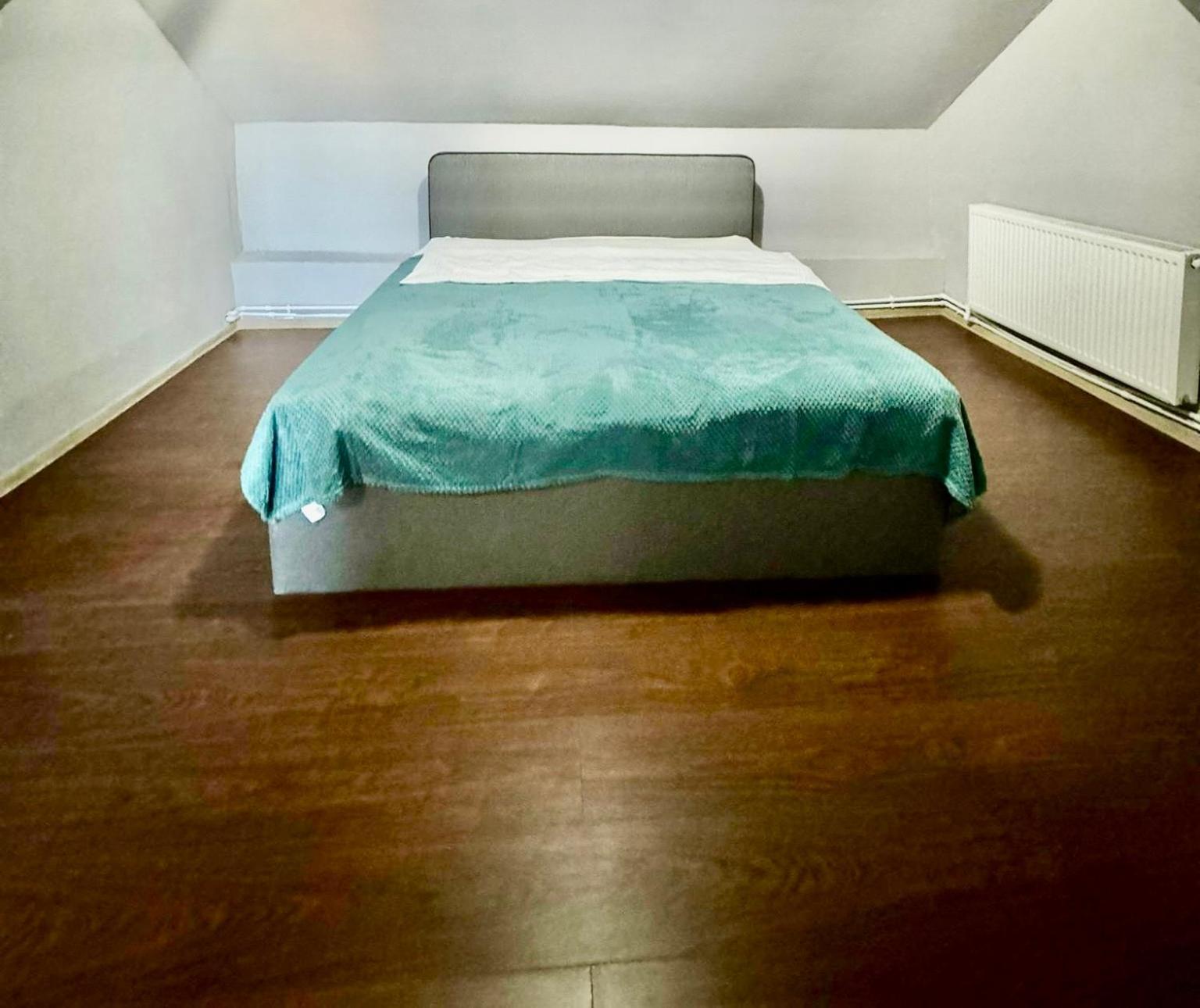 לינה וארוחת בוקר טימישוארה Serbian House מראה חיצוני תמונה