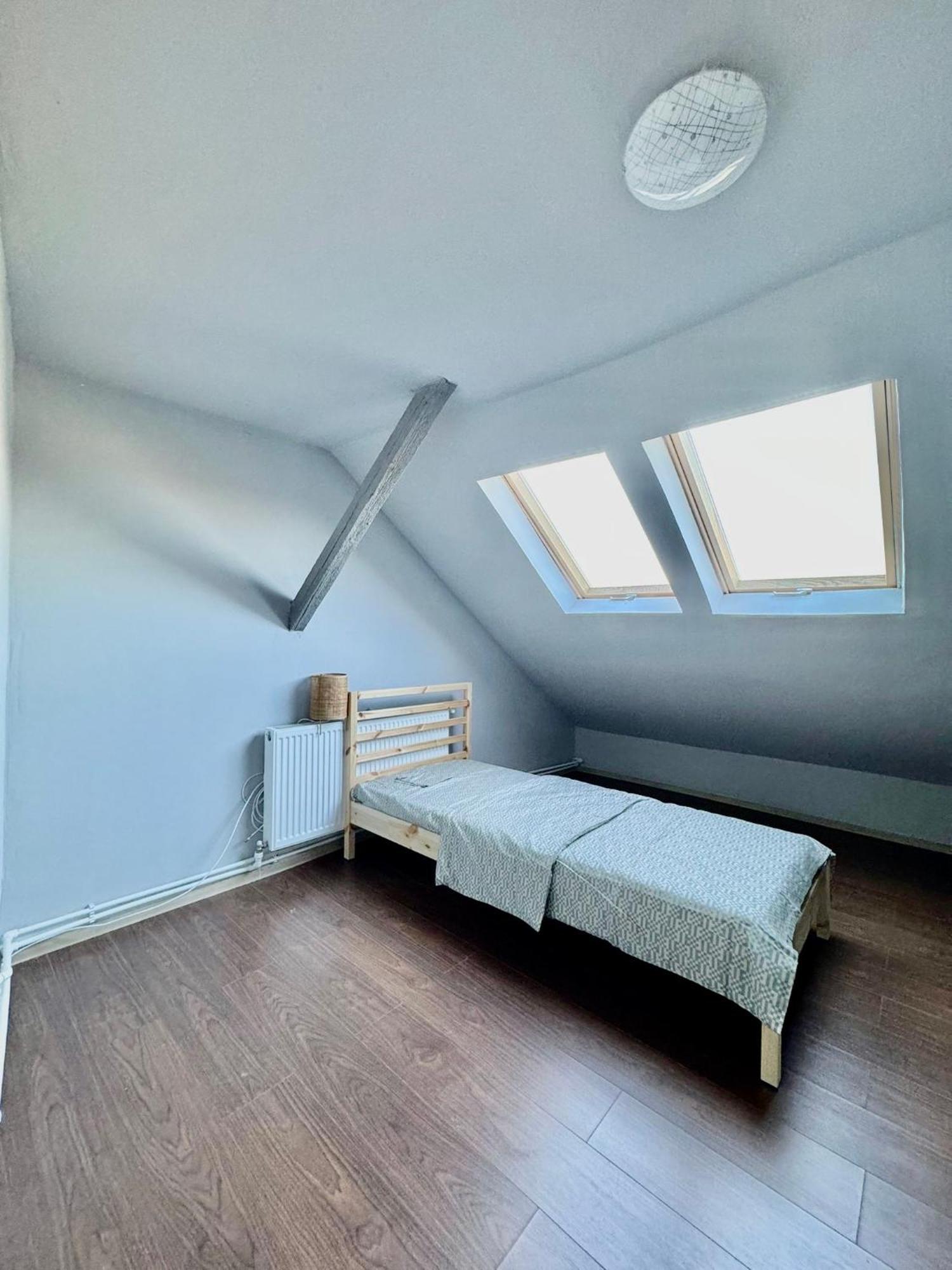 לינה וארוחת בוקר טימישוארה Serbian House מראה חיצוני תמונה