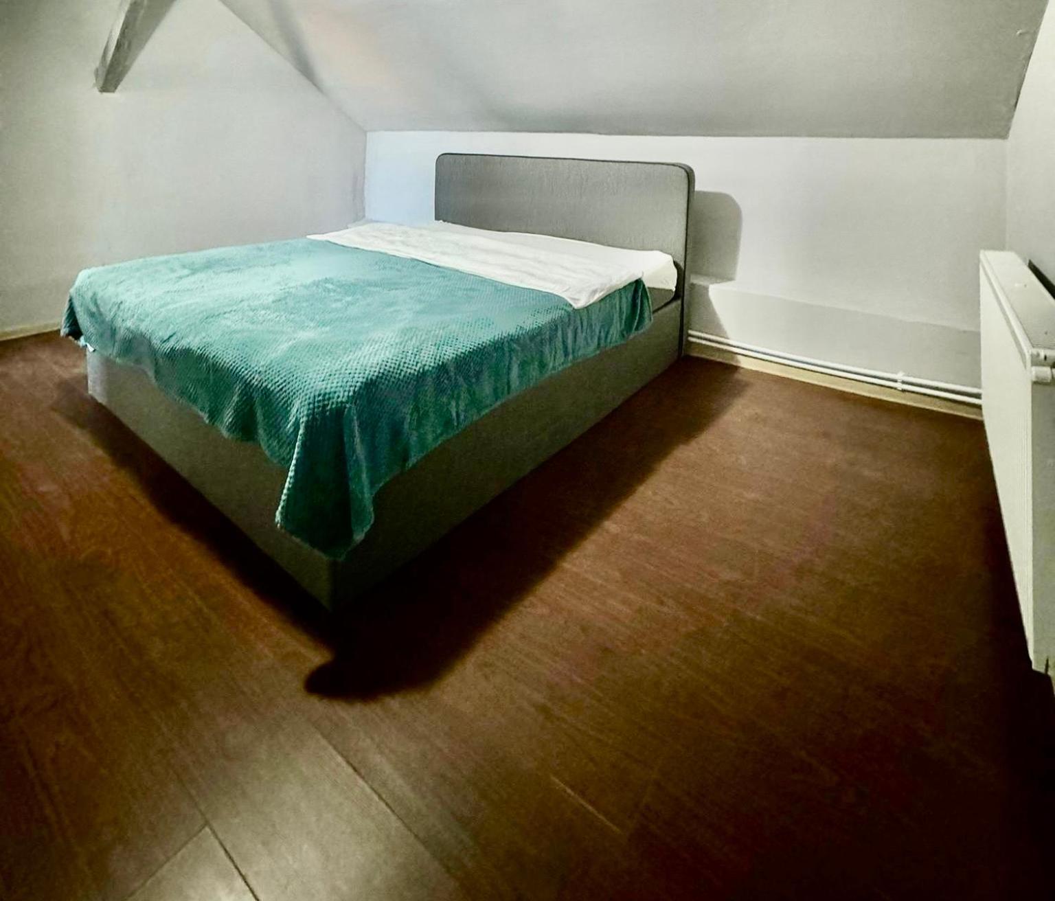 לינה וארוחת בוקר טימישוארה Serbian House מראה חיצוני תמונה